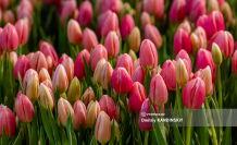 � 8 ������!